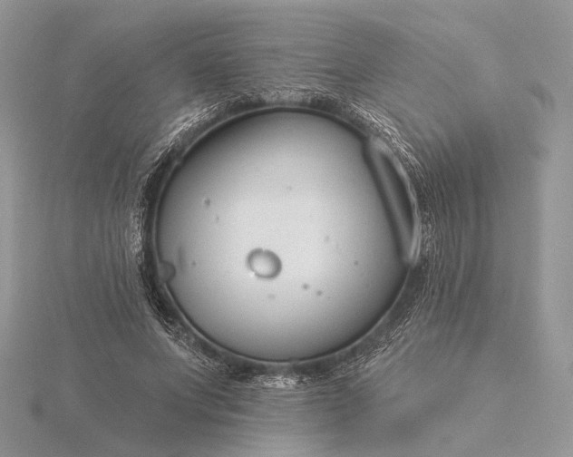 X0000116160687200912071325