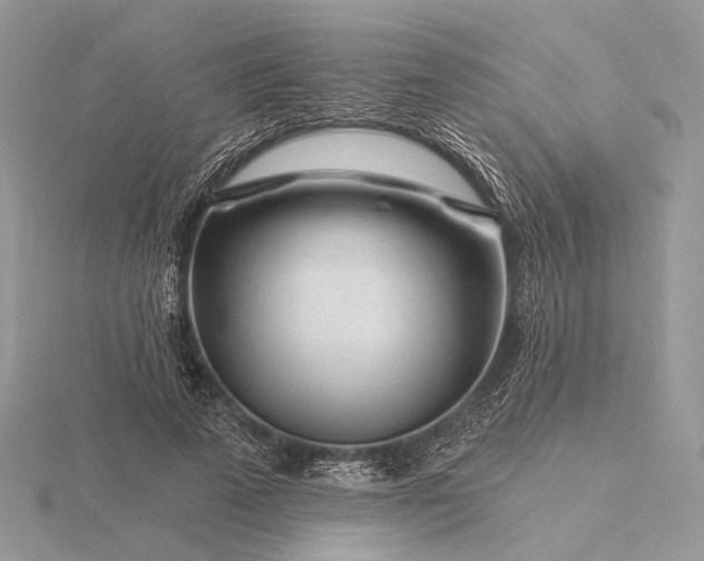 X0000116160689200912071325