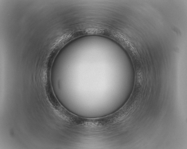 X0000116160690200912071325