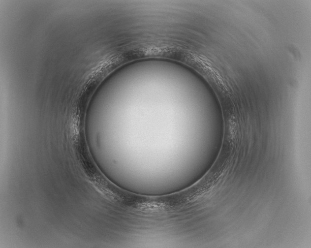 X0000116160691200912071325