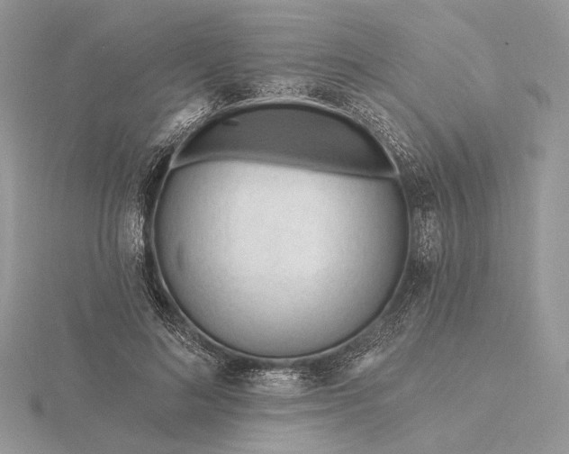 X0000116160692200912071325