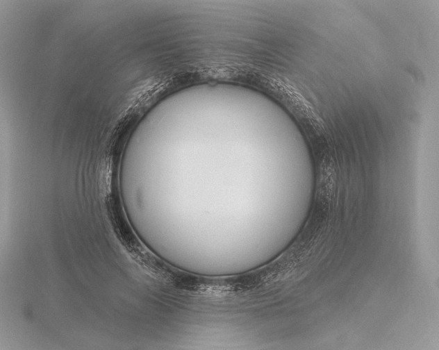 X0000116160694200912071325