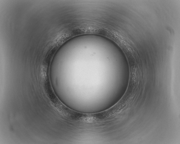 X0000116160695200912071325