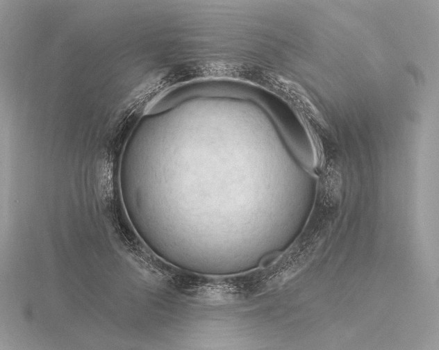 X0000116160696200912071325