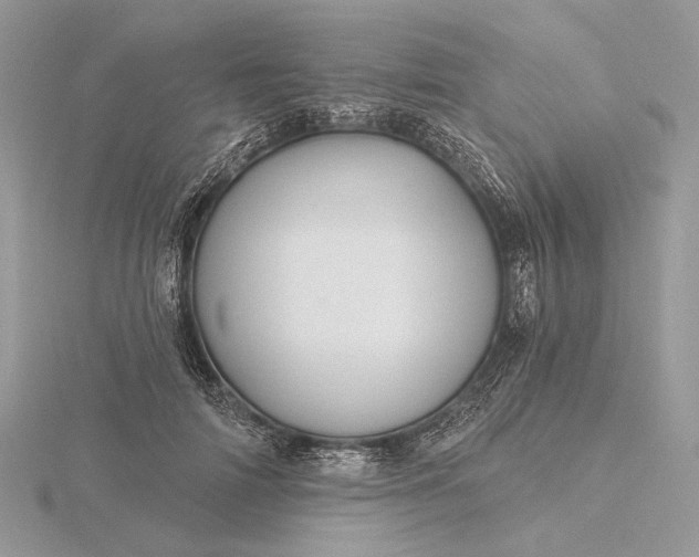 X0000116160698200912071325