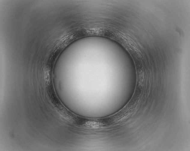 X0000116160699200912071325