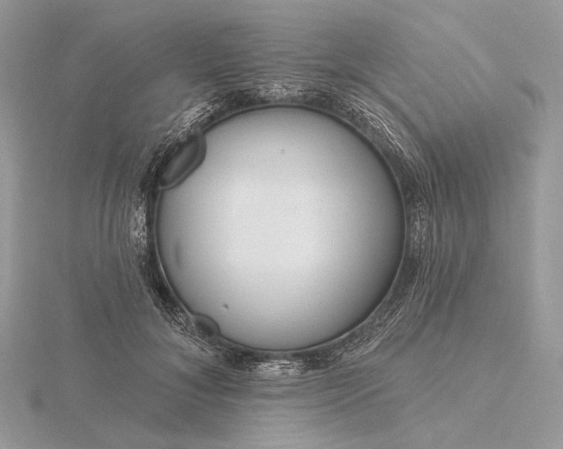 X0000116160700200912071325