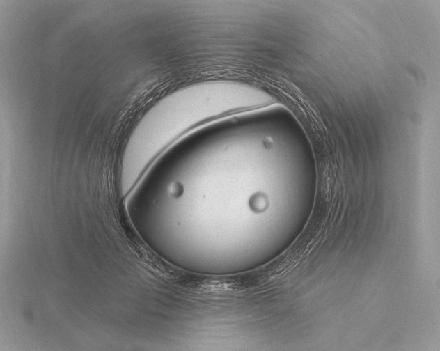 X0000116160701200912071325