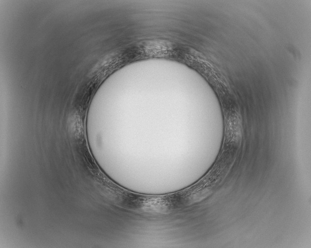 X0000116160705200912071325