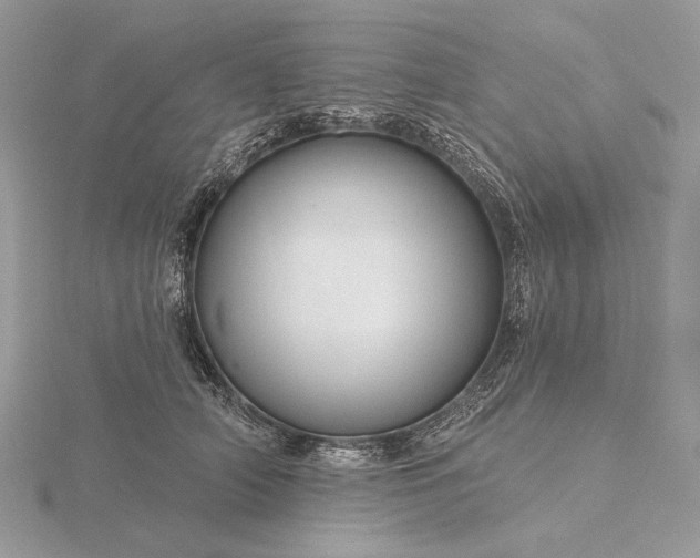 X0000116160706200912071325