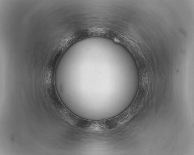 X0000116160708200912071325