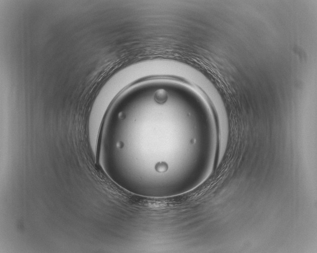 X0000116160709200912071325