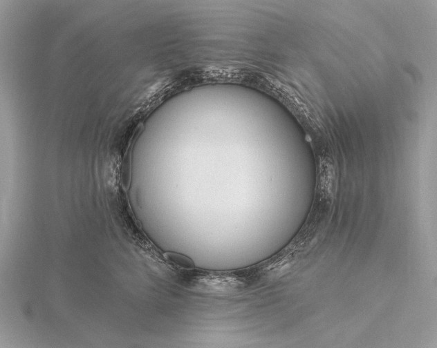 X0000116160712200912071325