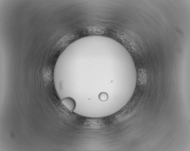 X0000116160713200912071325