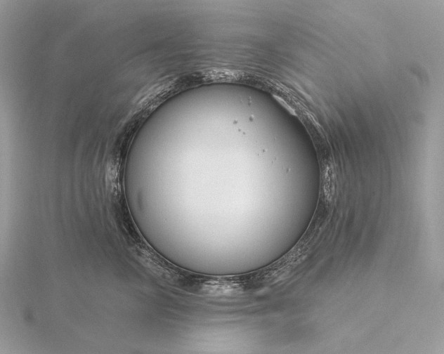 X0000116160714200912071325