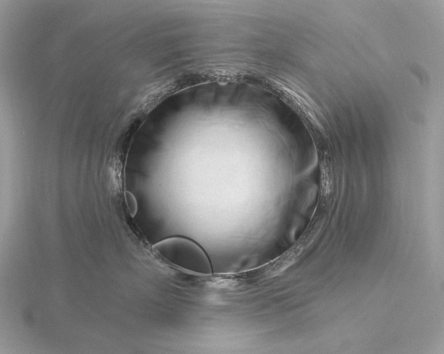 X0000116160718200912071325