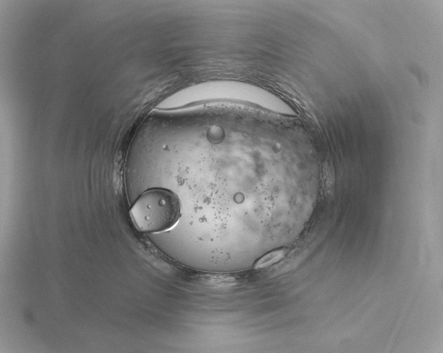 X0000116160719200912071324