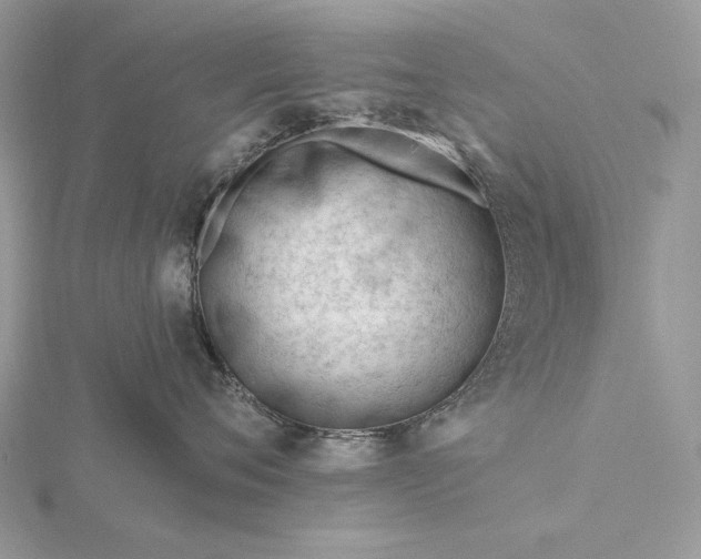 X0000116160720200912071324