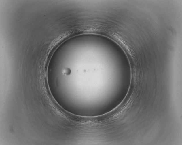 X0000116160721200912071324