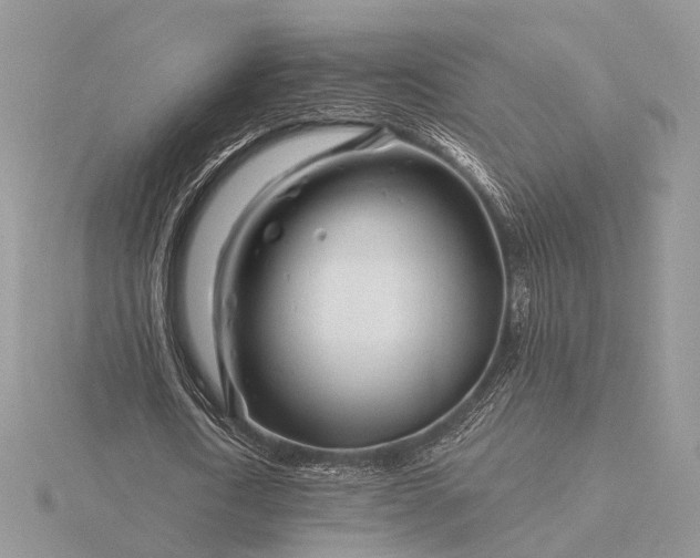 X0000116160722200912071324