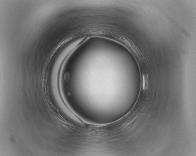 X0000116160723200912071324