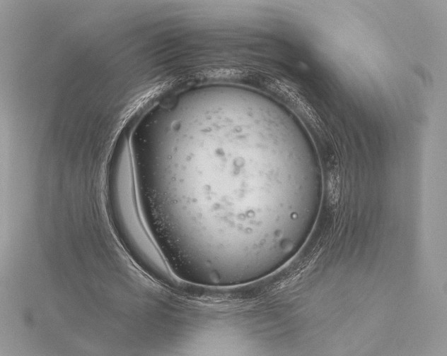 X0000116160725200912071324