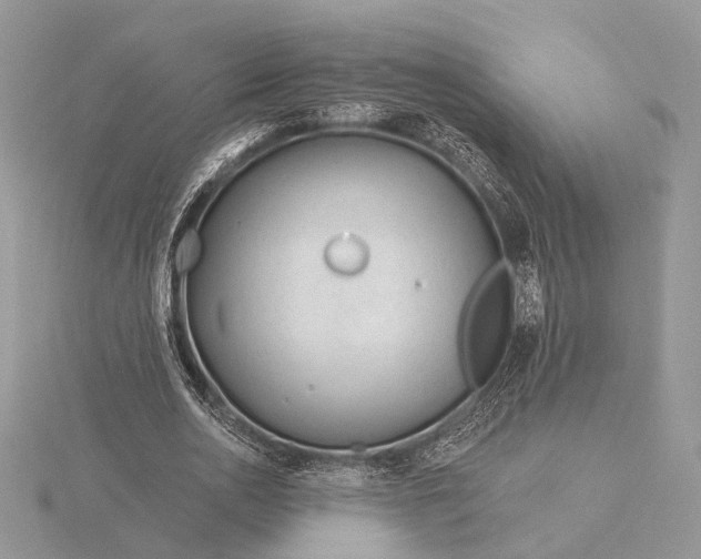 X0000116160726200912071324