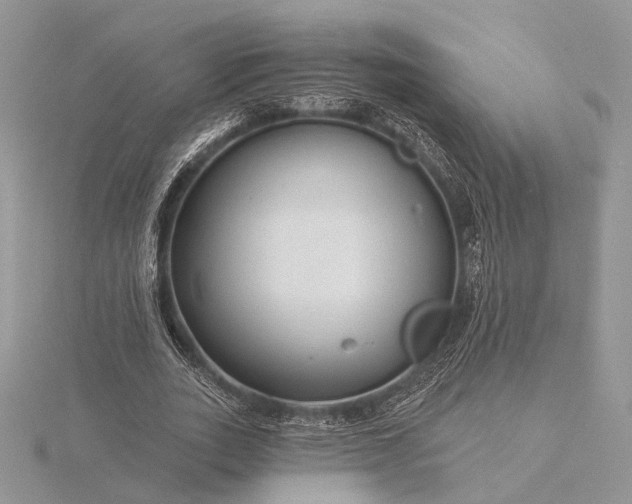 X0000116160727200912071324