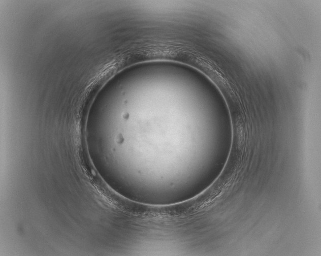 X0000116160729200912071324