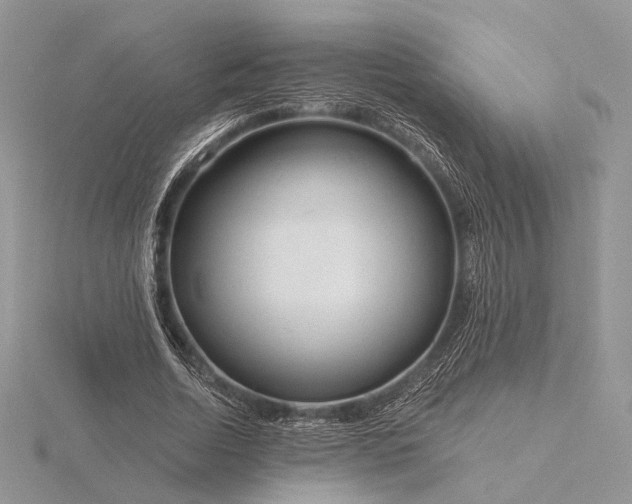 X0000116160730200912071324