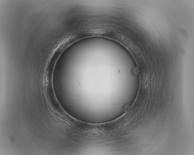 X0000116160731200912071324