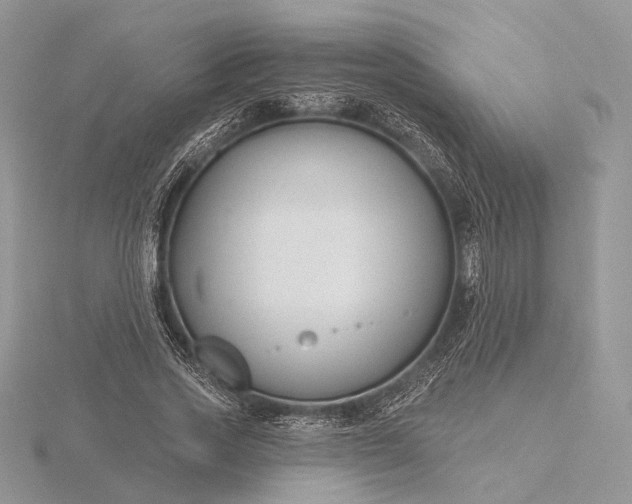 X0000116160733200912071324