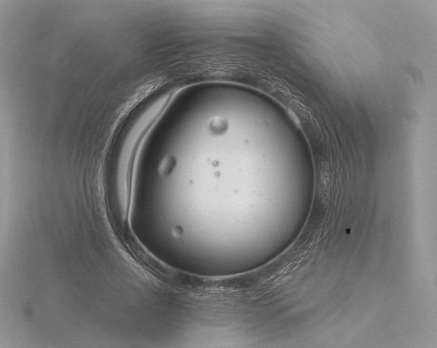 X0000116160734200912071324