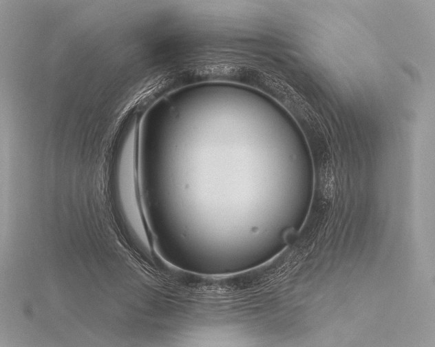 X0000116160735200912071324