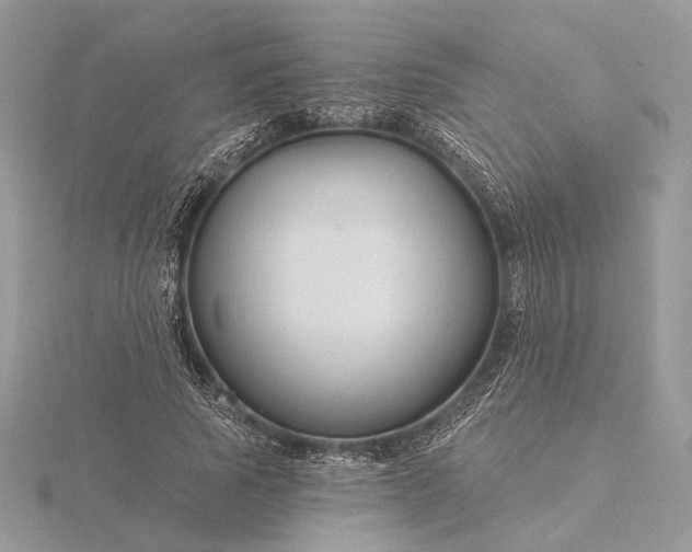 X0000116160737200912071324