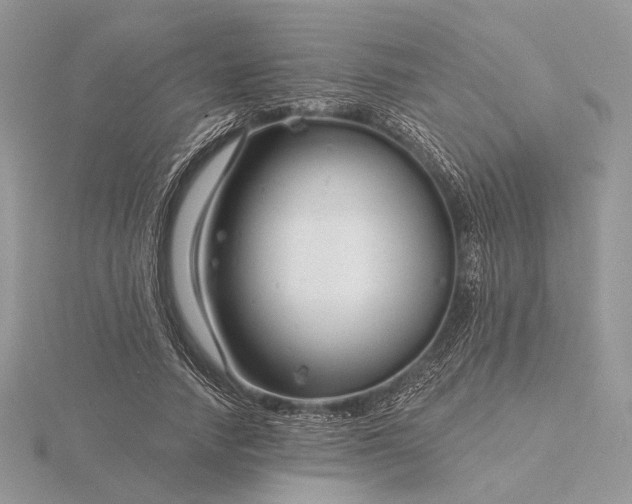 X0000116160738200912071324