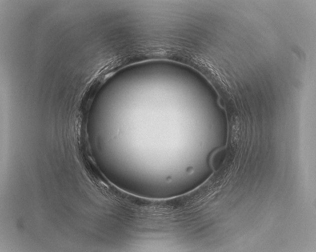 X0000116160739200912071324