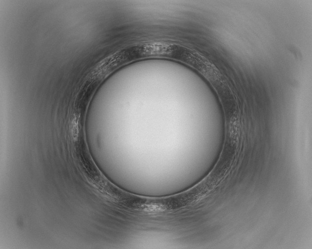 X0000116160741200912071324