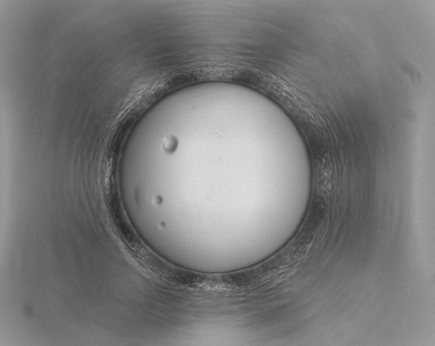 X0000116160742200912071324