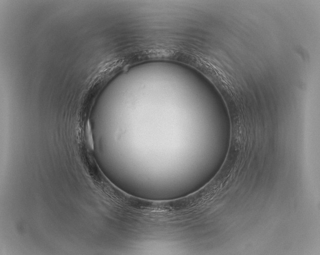 X0000116160743200912071324