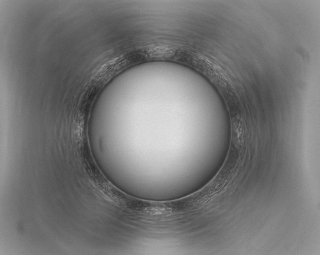 X0000116160745200912071324