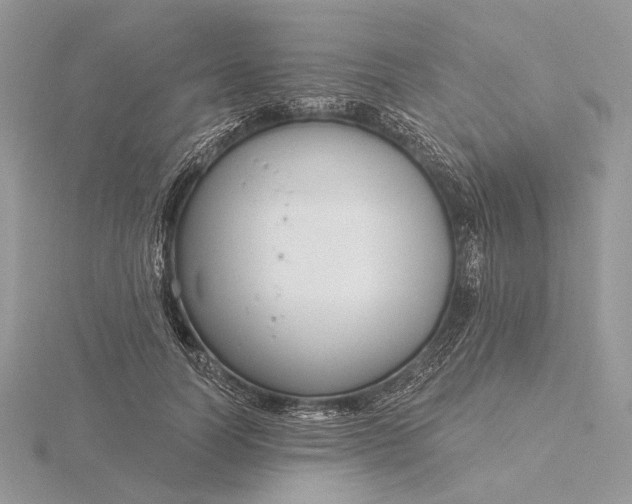 X0000116160746200912071324