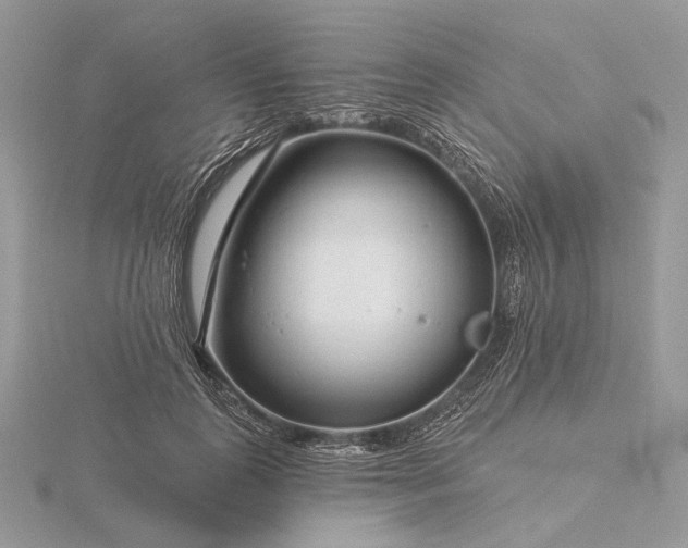 X0000116160747200912071324