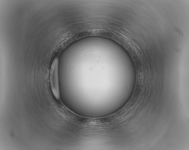 X0000116160750200912071324