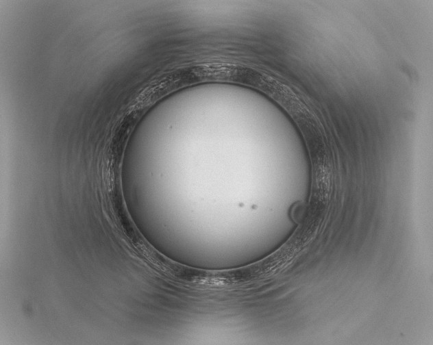 X0000116160751200912071324