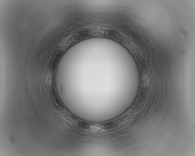 X0000116160753200912071324