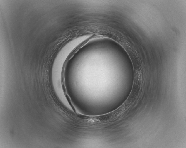 X0000116160754200912071324