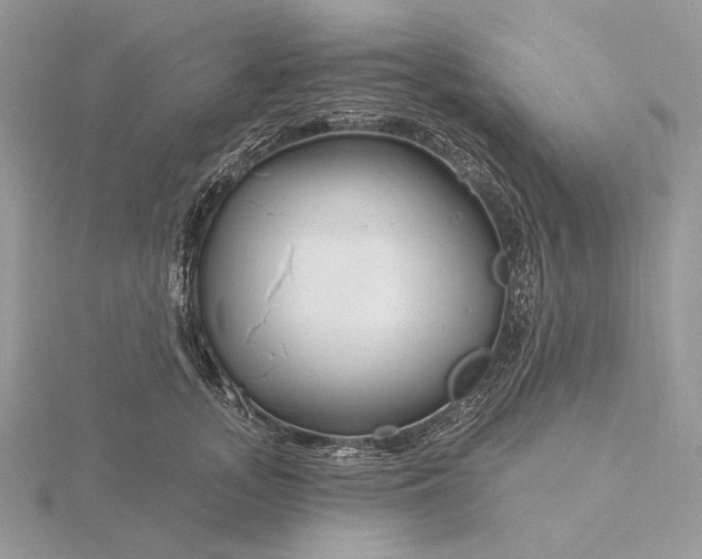 X0000116160755200912071324