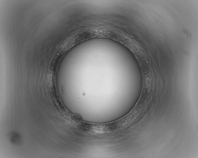 X0000116160757200912071324