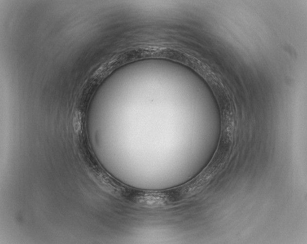 X0000116160758200912071324